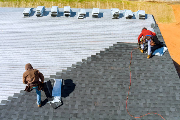 Best Roof Gutter Cleaning  in Meadow Vale, KY