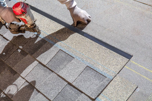 Best Local Roofing Companies  in Meadow Vale, KY